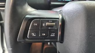 Citroën E-C4 Shine 50 kWh picture 31