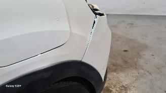 Citroën E-C4 Shine 50 kWh picture 13