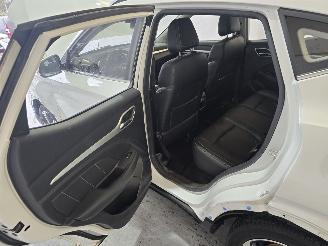 MG ZS EV Luxury 45 kWh picture 23