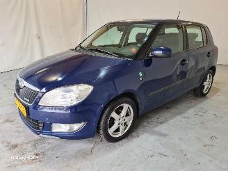 skadebil auto Skoda Fabia 1.2 TDI Greenline 2011/10