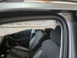 Skoda Kamiq 1.0 TSI Business Edition picture 13