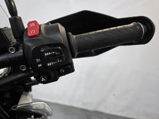 Triumph Tiger All-Road Tiger 1215 Explorer XCA picture 20
