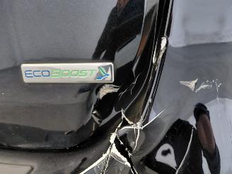 Ford C-Max 1.0 Titanium picture 16