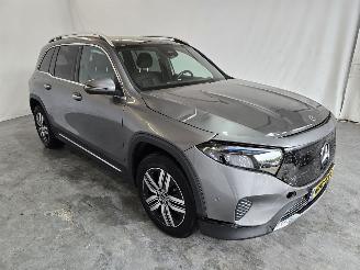  Mercedes EQB 250+ Luxury Line 2024/10