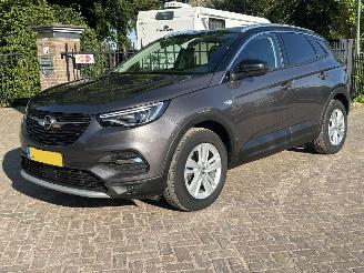 ocasión turismos Opel Grandland X  1.2 Turbo Innovation 2019/3