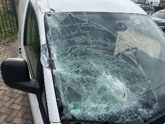 Volkswagen Caddy 1.6 TDI BMT picture 16