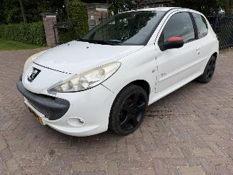 disassembly passenger cars Peugeot 206+ 1.4 Millesim 200 2010/9