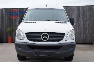 Mercedes Sprinter 313 CDi L2H2 Flexi Trans Rolstoel 95KW Euro 5 picture 7