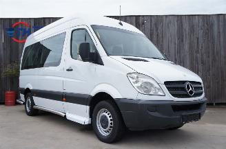 Mercedes Sprinter 313 CDi L2H2 Flexi Trans Rolstoel 95KW Euro 5 picture 6