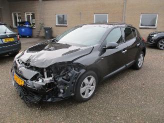 Renault Mégane 2.0 Dynmique Aut NAP picture 3