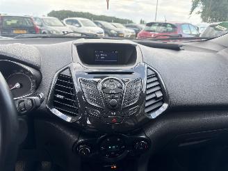 Ford EcoSport 1.0 EcoBoost Titanium picture 23