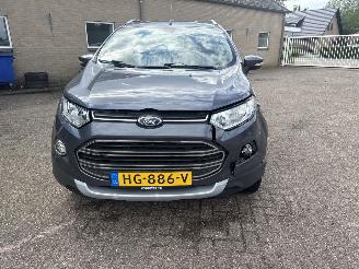 Ford EcoSport 1.0 EcoBoost Titanium picture 10