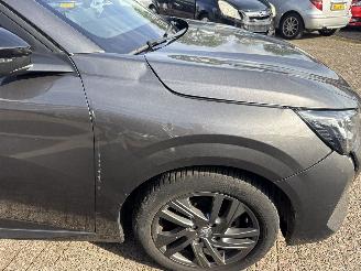 Peugeot 208 1.2 PT Active Pack picture 18