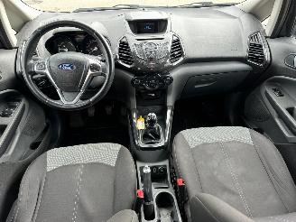 Ford EcoSport 1.0 EcoBoost picture 15