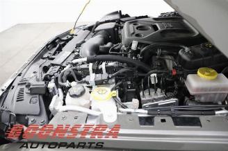 Jeep Wrangler Wrangler (JL), Terreinwagen, 2017 2.0 T 16V picture 18