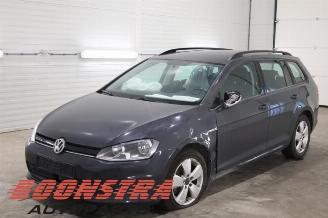 disassembly passenger cars Volkswagen Golf Golf VII Variant (AUVV), Combi, 2013 / 2021 1.4 TGI 16V 2015/3