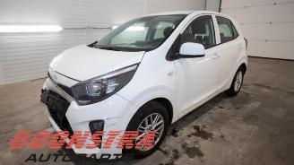 disassembly passenger cars Kia Picanto Picanto (JA), Hatchback, 2017 1.0 DPi 12V 2023/6