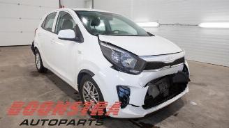 Kia Picanto Picanto (JA), Hatchback, 2017 1.0 DPi 12V picture 8