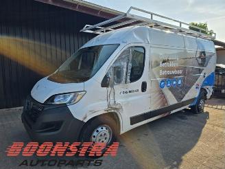 Vrakbiler auto Opel Movano Movano, Van, 2021 2.2 D 140 2023/6