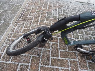 Overige  Van Raam Easy Rider 3 picture 8