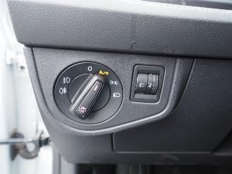 Volkswagen Polo 1.0 TSI DSG 2X R-Line Highline Business picture 30