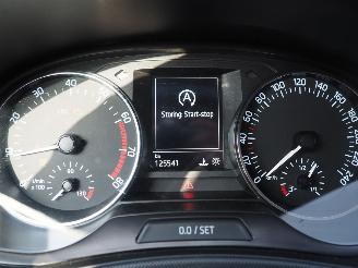 Skoda Fabia 1.2 tsi ambition picture 32