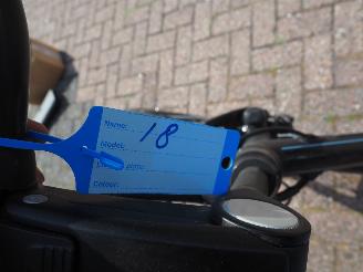 Batavus  Wayz E-go  Active picture 8