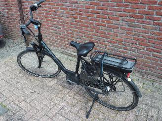 Batavus  Wayz E-go  Active picture 3