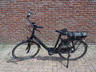  Batavus  Wayz E-go  Active 2020/6