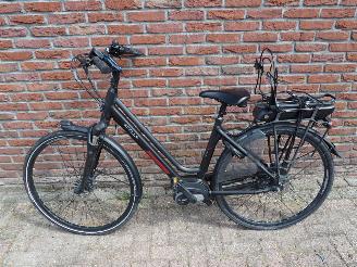  Stella  Vincenza 2024/6