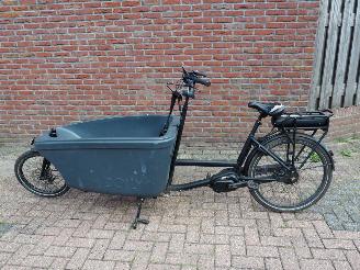  Overige  Dolly Bakfiets Family 2020/12