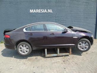 Salvage car Jaguar XF XF (CC9), Sedan, 2008 / 2015 2.2 D 16V 2012/9