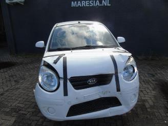 Kia Picanto Picanto (BA), Hatchback, 2004 / 2011 1.0 12V picture 2