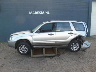 Salvage car Subaru Forester Forester (SG), SUV, 2002 / 2008 2.0 16V X 2004/3