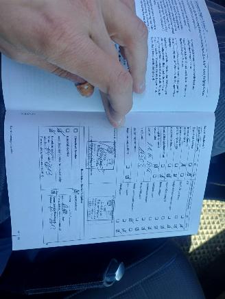 Volkswagen Polo 1.2 Easyline picture 14