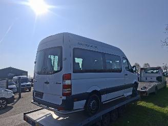 Mercedes Sprinter 313 CDI picture 3