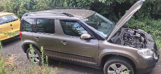 Skoda Yeti 2.0 tdi picture 3