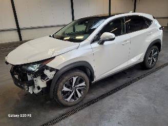 Avarii autoturisme Lexus NX 300h Hybrid 2.5 145-KW Automaat AWD Panoramadak 2020/9