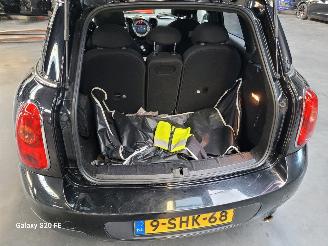 Mini Countryman 1.6 72-KW 6-Bak Chili Panoramadak picture 14