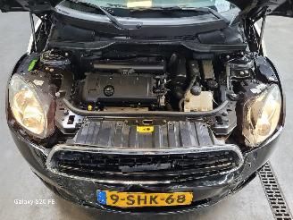 Mini Countryman 1.6 72-KW 6-Bak Chili Panoramadak picture 7