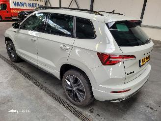 Skoda Karoq 1.5 TSi 110-KW DSG SportLine 5drs picture 2