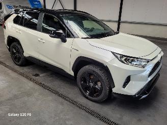 Schadeauto Toyota Rav-4 Hybrid 2.5 131-KW Automaat AWD 2019/8