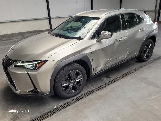 Avarii autoturisme Lexus UX 250h Hybrid 2.0 112-KW Automaat Luxury 2021/2