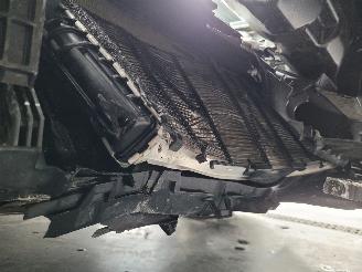 Tesla Model 3 Dual Motor 366-KW Automaat AWD picture 14