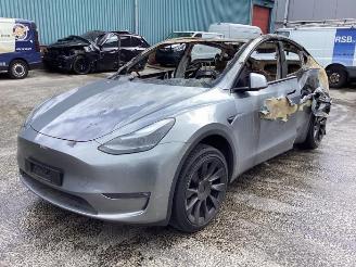 rozbiórka samochody osobowe Tesla Model Y Model Y (5YJY), SUV, 2019 / 2025 Long Range,Performance 2023/9