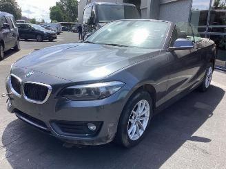 disassembly passenger cars BMW 2-serie 2 serie (F23), Cabrio, 2014 / 2021 218i 1.5 TwinPower Turbo 12V 2019/1