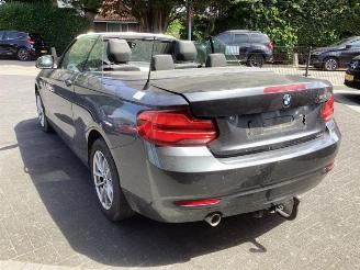 BMW 2-serie 2 serie (F23), Cabrio, 2014 / 2021 218i 1.5 TwinPower Turbo 12V picture 7