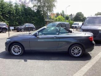 BMW 2-serie 2 serie (F23), Cabrio, 2014 / 2021 218i 1.5 TwinPower Turbo 12V picture 8