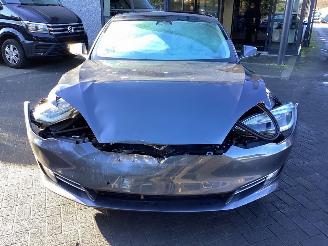 Tesla Model S 100 D picture 2