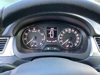 Skoda Rapid 1.2 TSI Greentech Elegance Businessline Pro picture 12